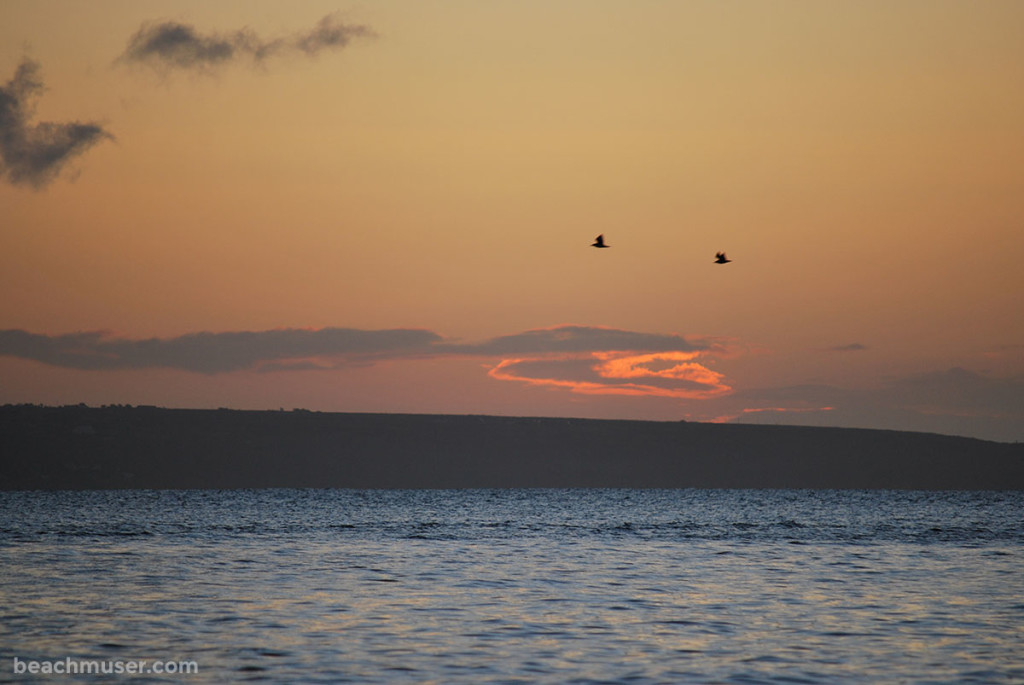 Mousehole sunrise with birds