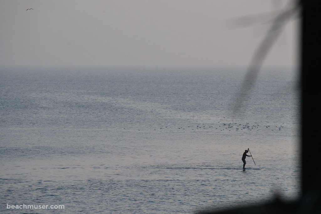 Porthleven Sea Standing Up Paddleboarding