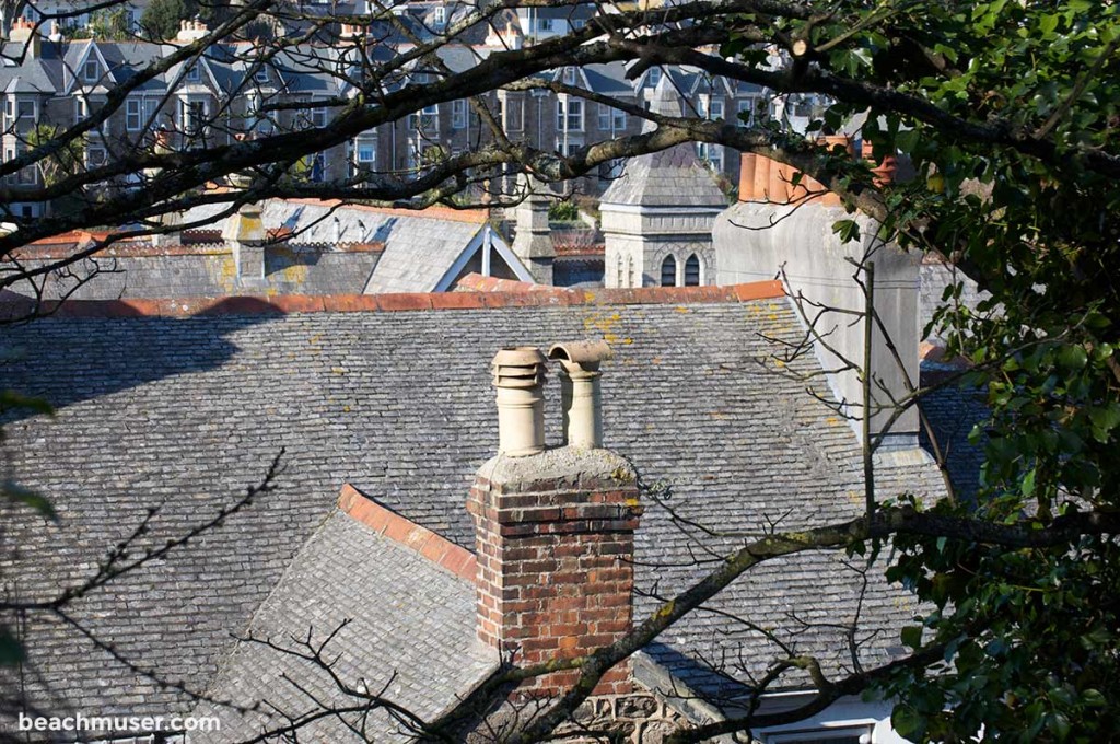 St Ives Roof Tops and Chimney Framed by Nature