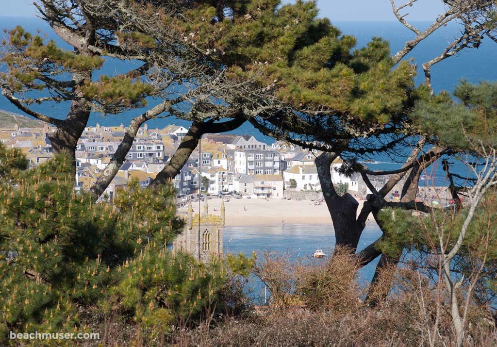 St Ives Harbour Framed by Nature