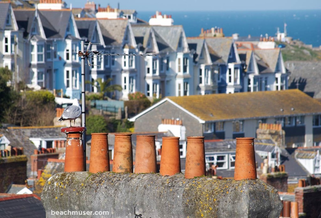 A seagulls chimney top view of St Ives