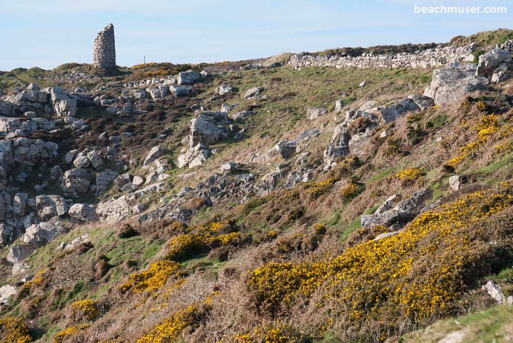 Botallack Gorse Rocks