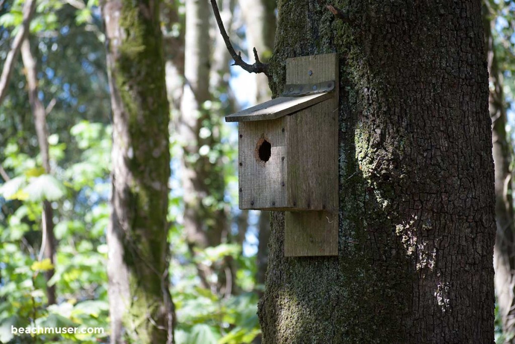 heligan-gardens-bird-box-left-web