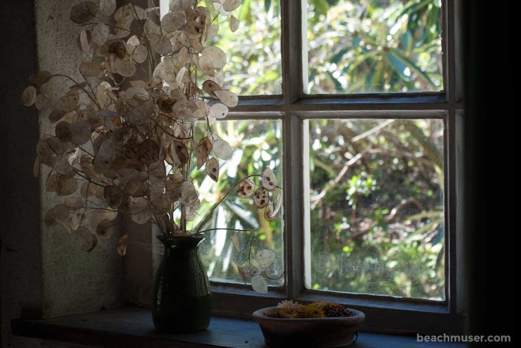 Heligan Gardens House Window