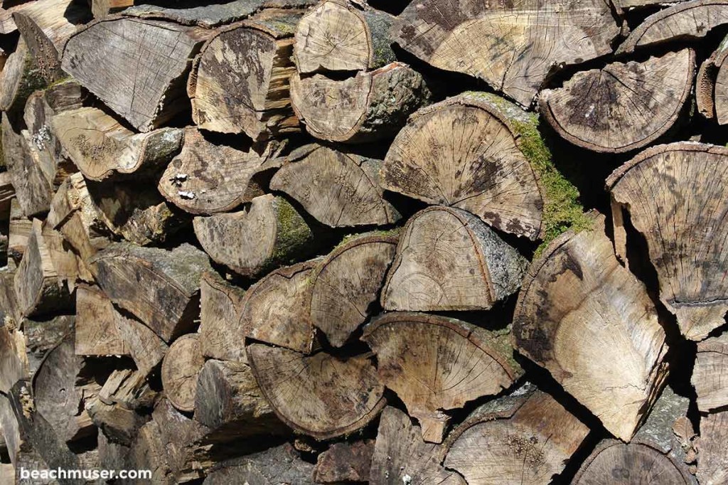 Heligan Gardens Wood Pile Side