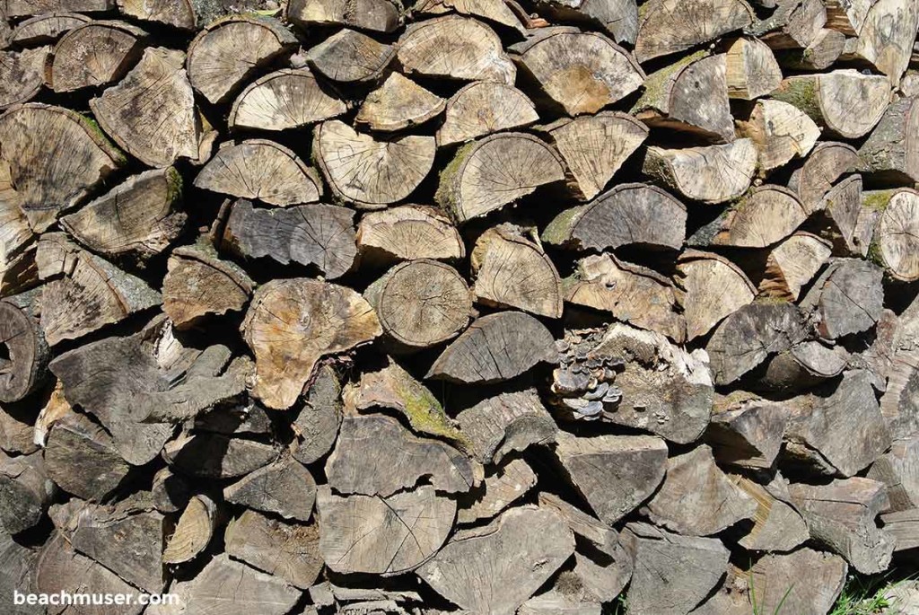 Heligan Gardens Wood Pile